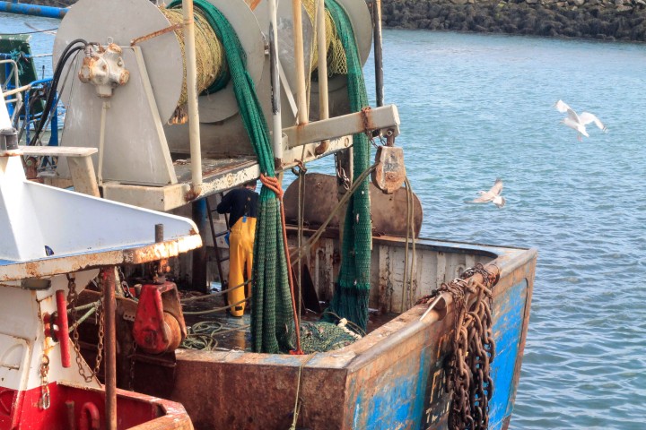 Seagulls flock to a fishing boat as a fisherman cleans the deck in Howth.